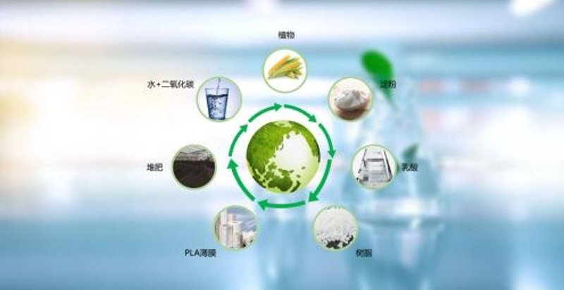 广西环保材料公司的崛起：一场绿色革命
